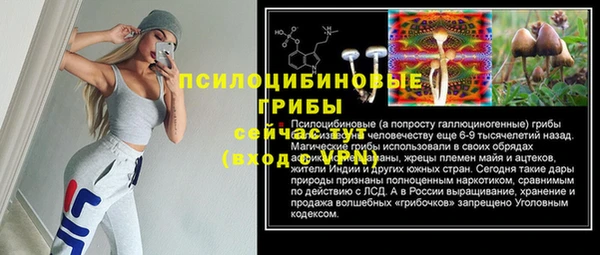 не бодяженный Надым