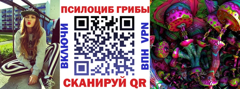 Псилоцибиновые грибы мицелий  Сергач 